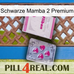Black Mamba 2 Premium 32